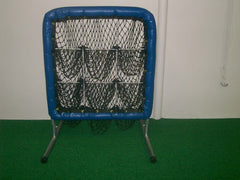 Baseball or Softball Blue 9 hole Pitchers Pocket Training tool